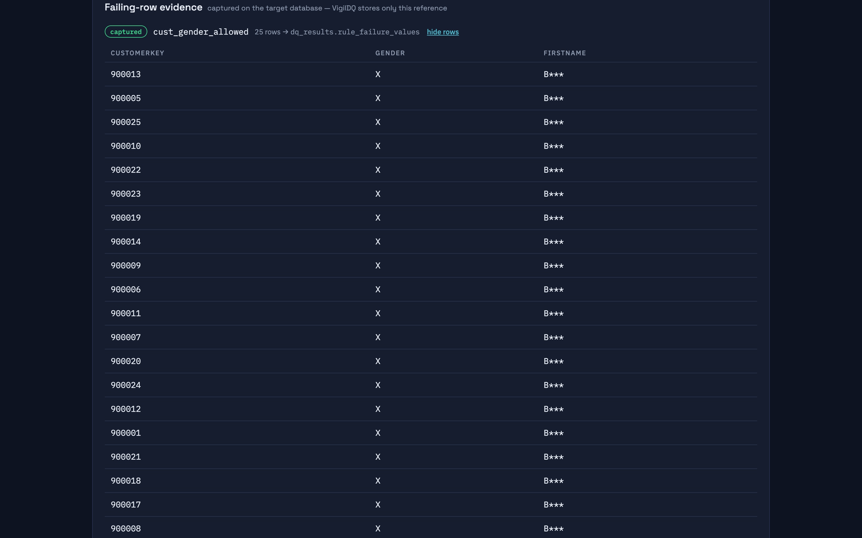 Failing-row evidence table with masked names, stored in the customer's own database